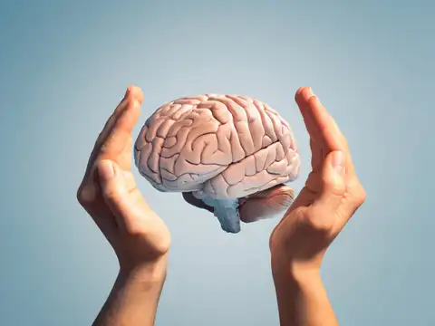 Enhances brain function