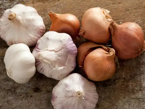 Onions and garlic: seemingly innocent vegetables