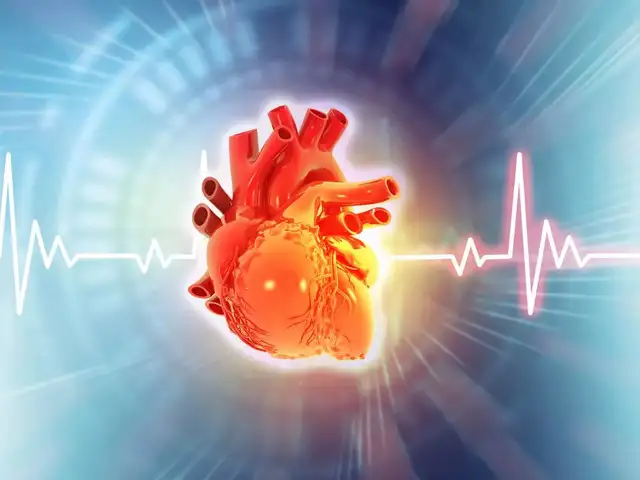 5 benefits of having a lower resting heart rate and how to achieve it ...