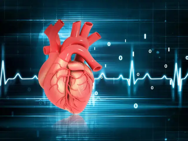 5 benefits of having a lower resting heart rate and how to achieve it ...