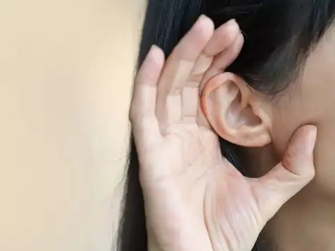 Eustachian tube dysfunction and middle ear fluid