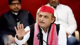 Save Aravallis to stop Delhi from becoming world's pollution capital: Akhilesh Yadav
