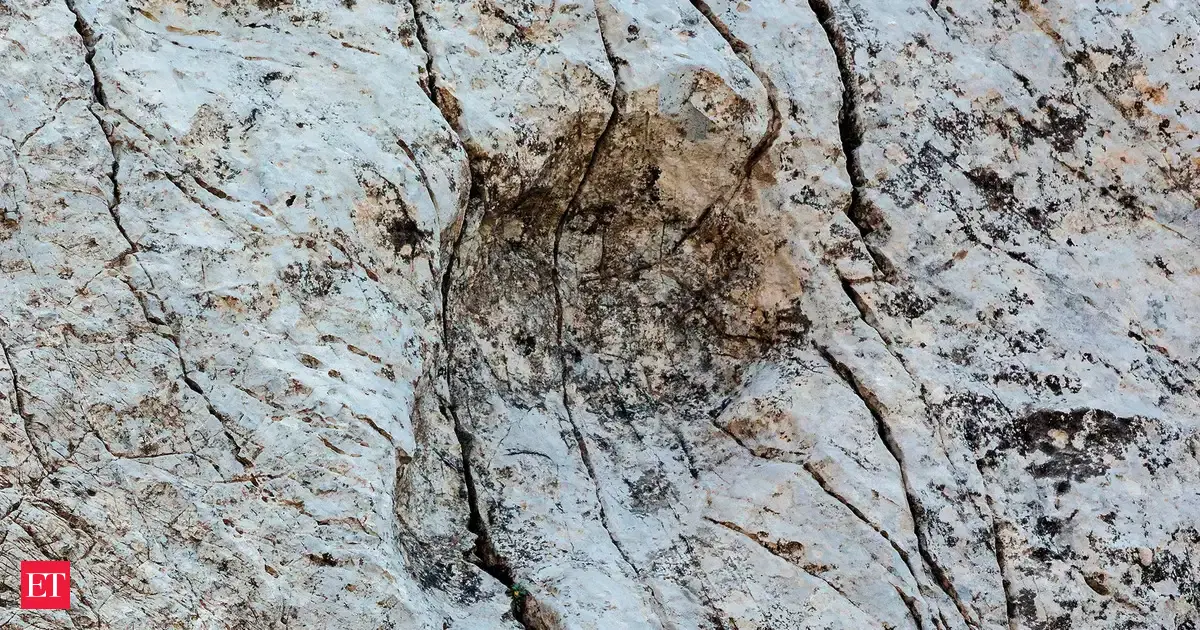 A photographer finds thousands of dinosaur footprints near Italian Winter Olympic venue