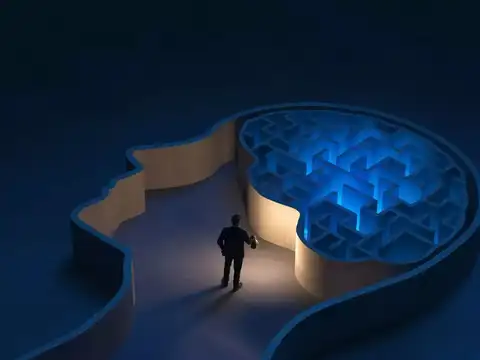 Sensitive Decisions & Explainability Gaps