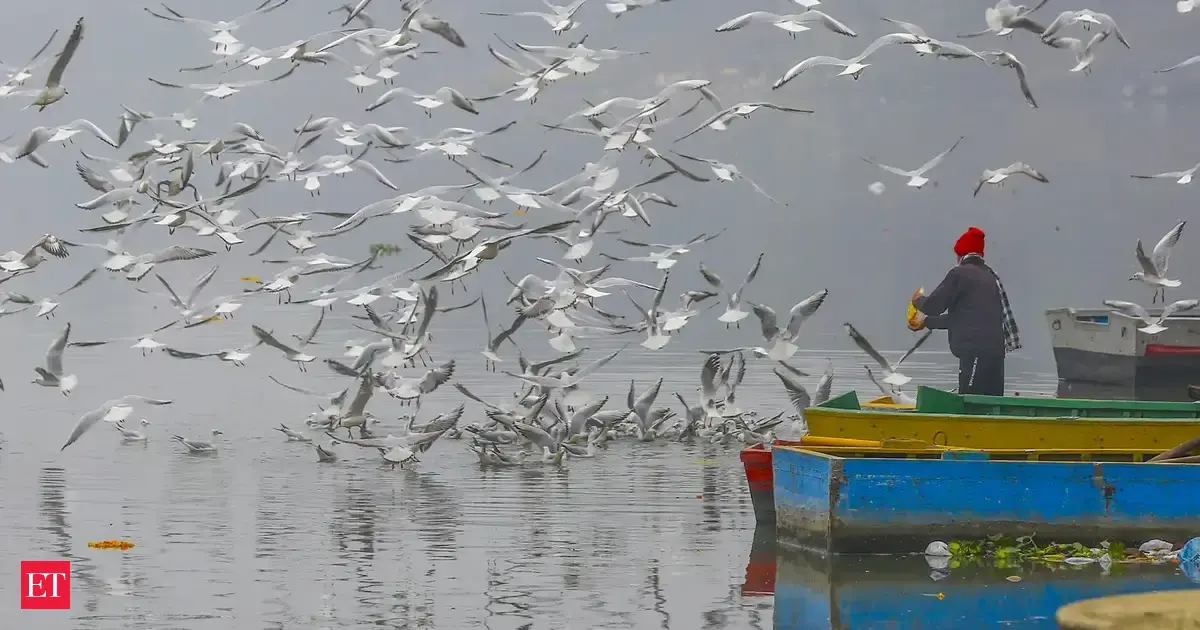 Delhi weather today: National capital wakes up to dense fog as IMD warns of low visibility over North Indian states