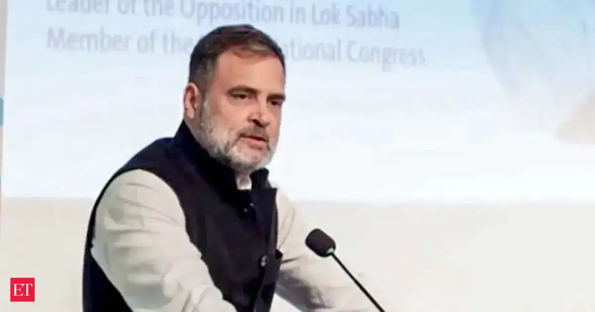 'Rahul Gandhi and George Soros want to create anarchy': BJP hits out at Congress leader over his statement in Germany