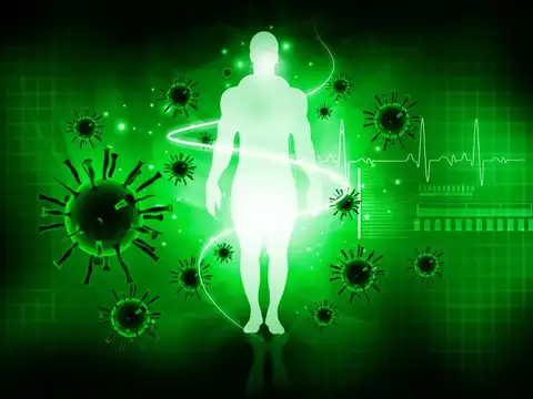 Immune system collapse and infection susceptibility