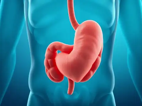 High Fat Slows Digestion