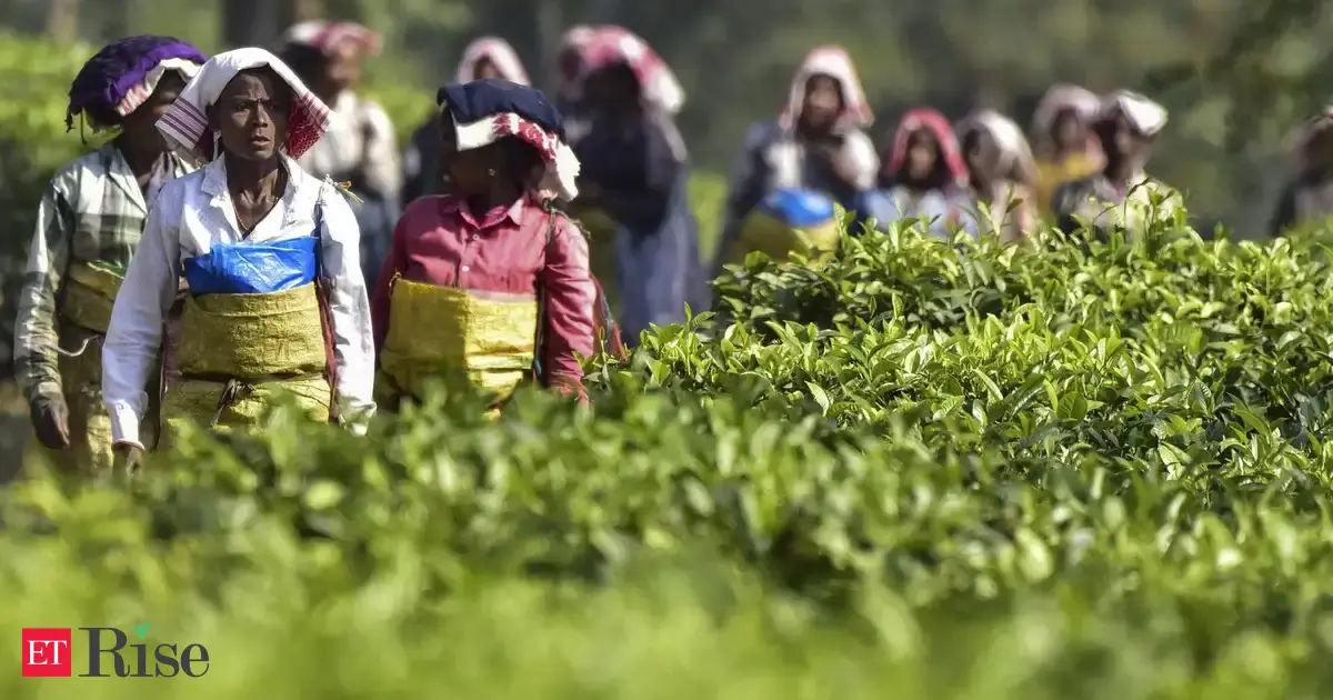 Tea Board urges companies to participate in two international events