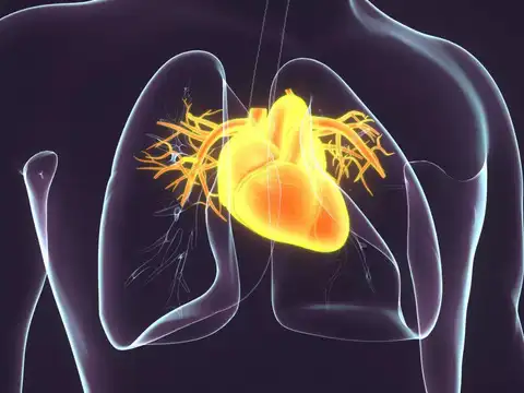 What actually fuels inflammation daily