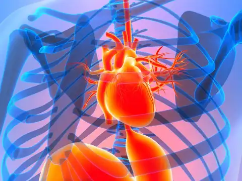 How doctors measure it: CRP and IL-6