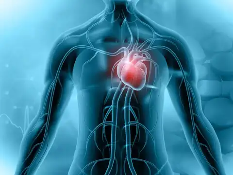  What inflammation does to your heart