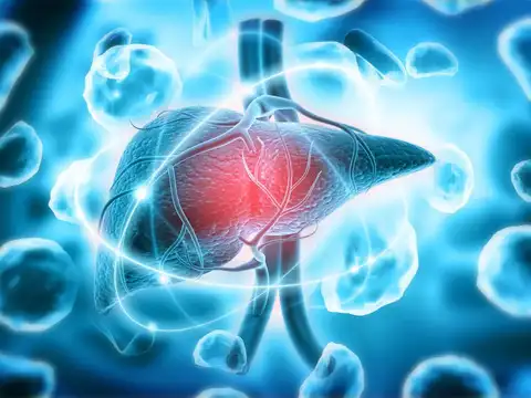 What research reveals about spleen size