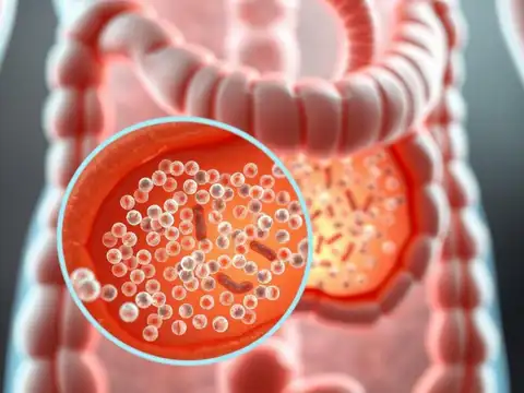 Gut Health Benefits