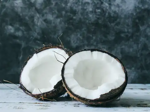 Food #3: Dry Coconut, The Energy Booster