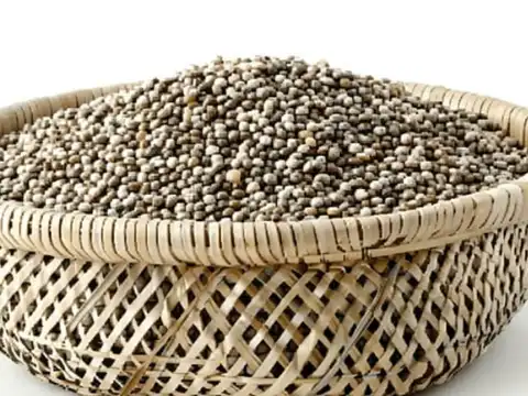Food #1: Bajra, the Winter Millet