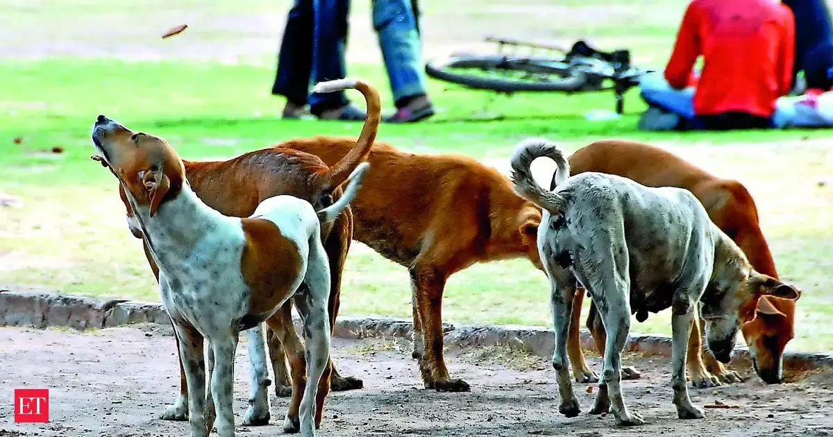 Teachers in Delhi to be appointed nodal officers in stray dog-related matter; associations raise concerns