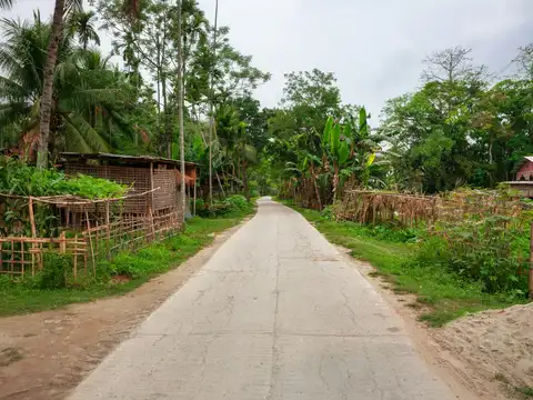 Majuli