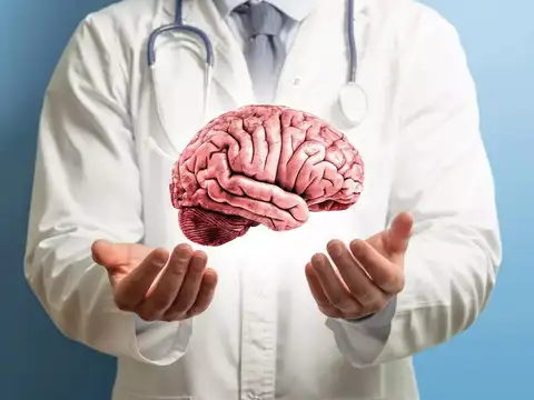 How your brain shifts during the rush