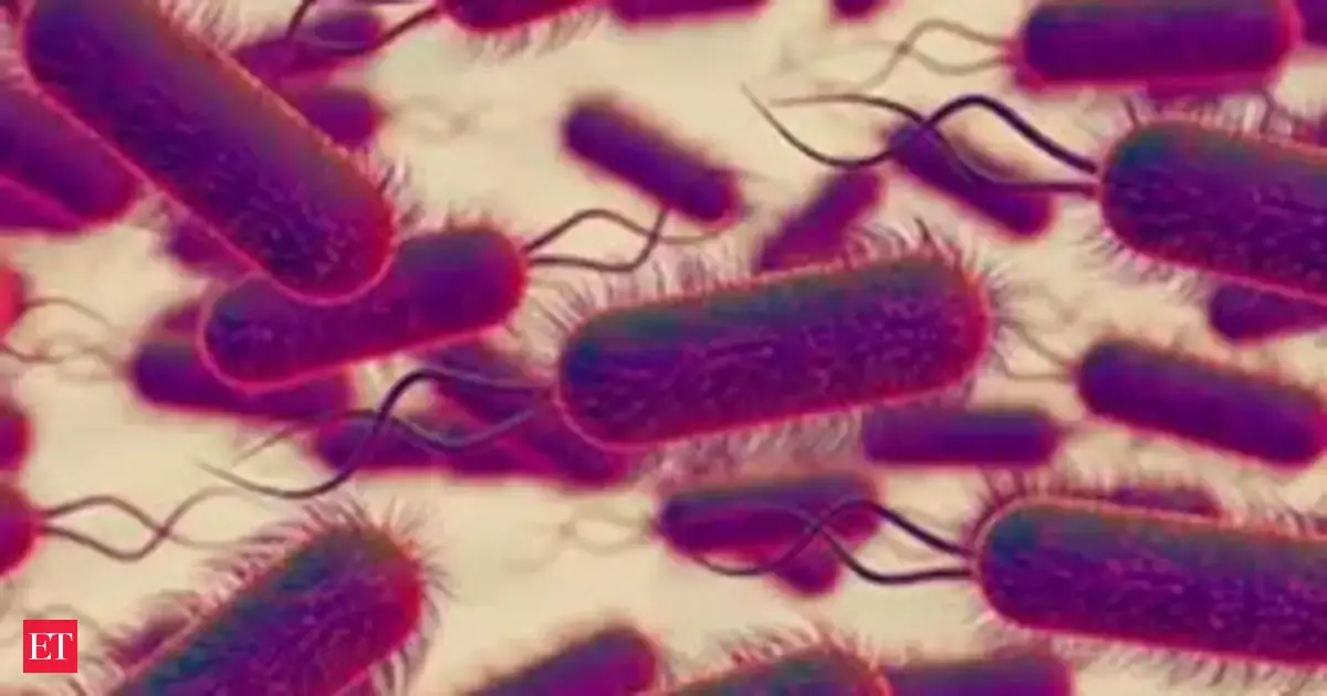 What is Legionnaires' disease? Deadly outbreak prompts health alert in Sydney CBD - Check causes, symptoms and high-risk age groups