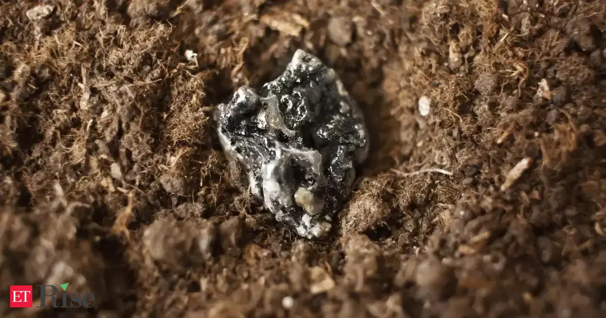 Meet a US startup trying to break China's rare-earth monopoly