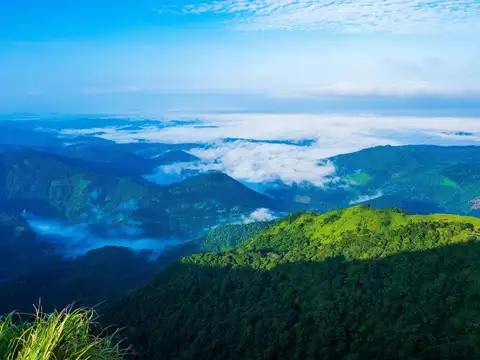Vagamon