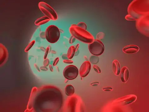 Anemia: Not Enough Oxygen Carriers