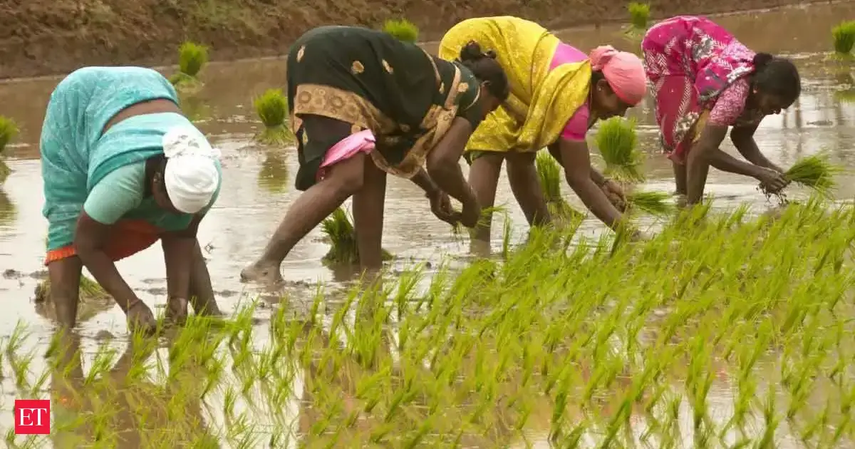 Stamp duty waived on farm loans up to Rs 2 lakh in Maharashtra