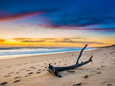Carnac Island, Western Australia