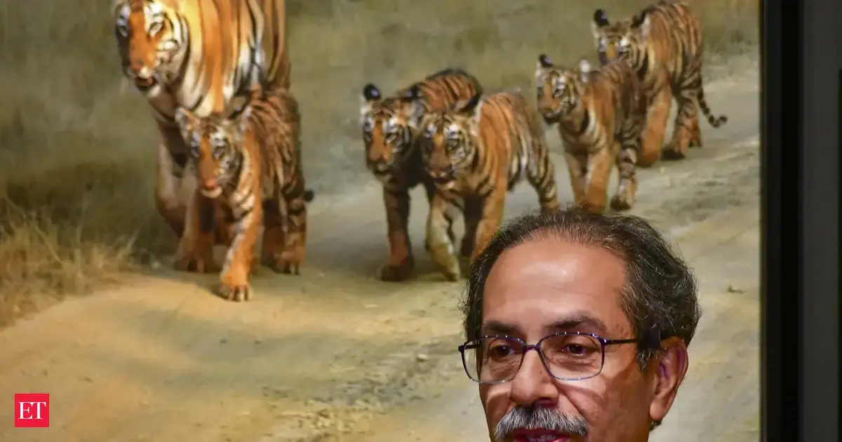 Scrap civic polls with unopposed wins, restart process in those wards: Uddhav Thackeray to SEC