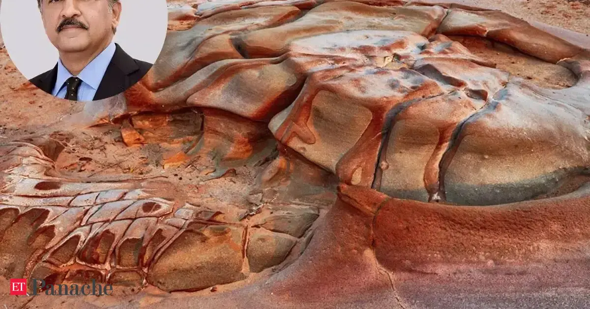 Anand Mahindra discovers a Jurassic-era 'beauty' in India that feels frozen in time. 'Deserves a spot on every bucket list'