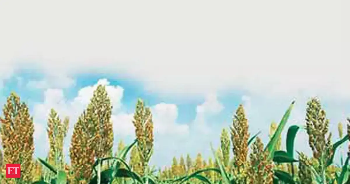 UP ‘Shri Anna’ farmer show strong preference for govt procurement over open market sales