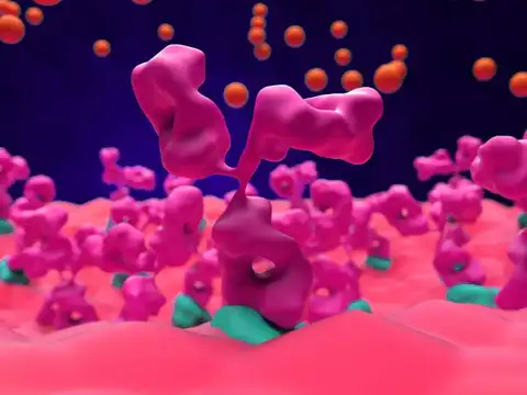 Neuromuscular junction deterioration