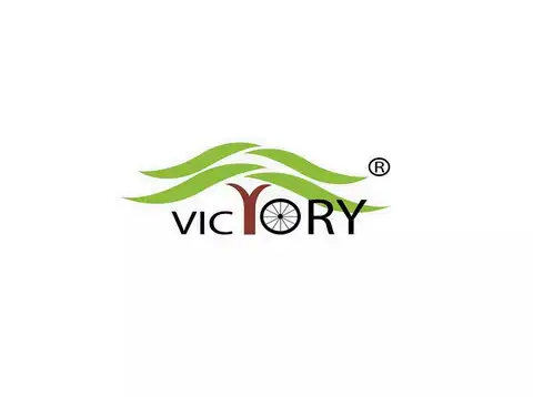Victory Electric Vehicles
