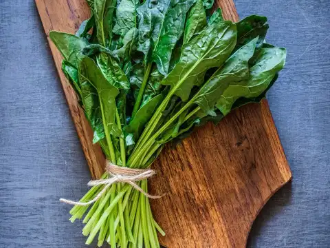 Spinach and leafy greens (lutein and zeaxanthin)