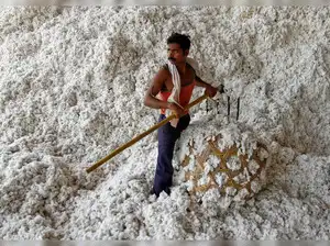 Cotton imports zoom as traders reap zero duty window benefit