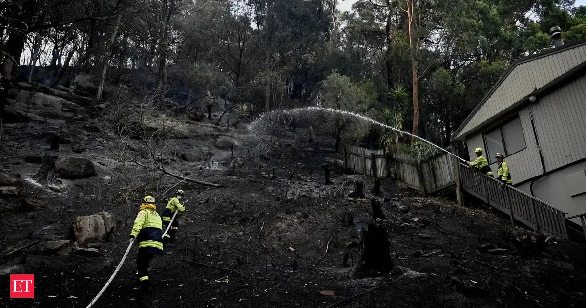 Australia’s southeast on alert as bushfires intensify, ‘catastrophic’ fire risk forecast