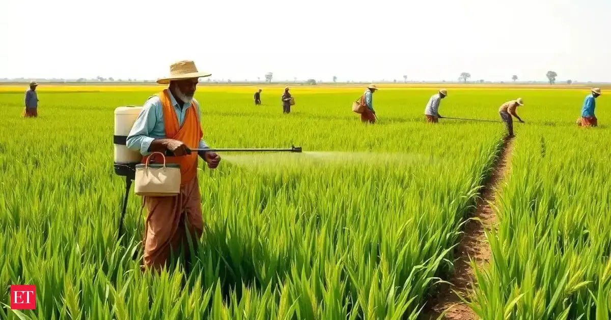 Budget 2026: Why do India’s farms suddenly matter?