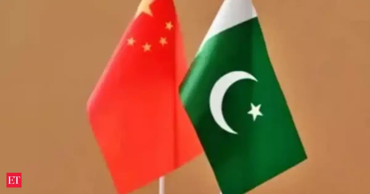 Pakistan announces protection unit for Chinese nationals working on CPEC