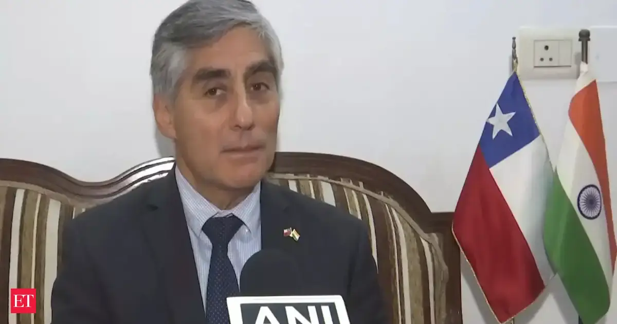 India can be a factor of stabilisation in global affairs: Chile backs New Delhi bid for UNSC permanent seat