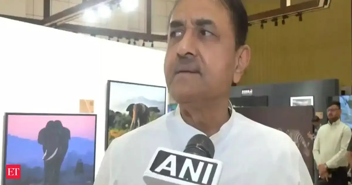 India needs aviation giants, not 'fly-by-night' operators, says ex-minister Praful Patel