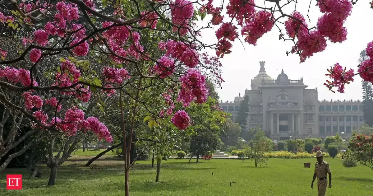 North India Cold Wave Continues, Temperatures Dip on Sunday | Quick Digest