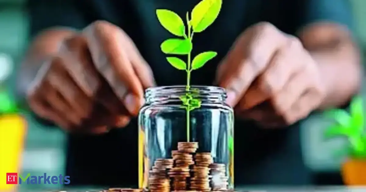 Small Finance Banks: After asset quality hit, small finance banks to sharpen risk controls for 2026