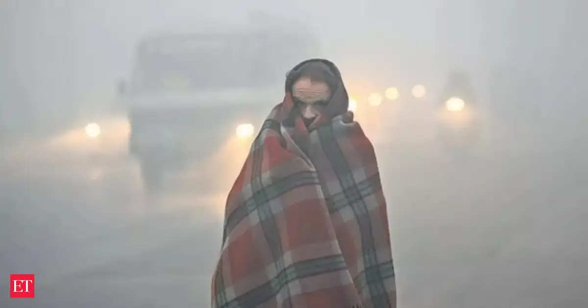 Weather update: Cold wave, dense fog tighten grip on north India; heavy rain lashes south Tamil Nadu