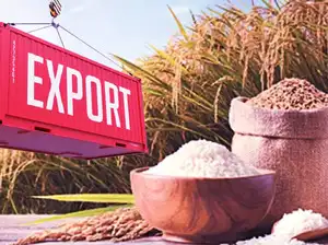 Iran unrest hits Indian basmati rice exports, industry body says - The ...
