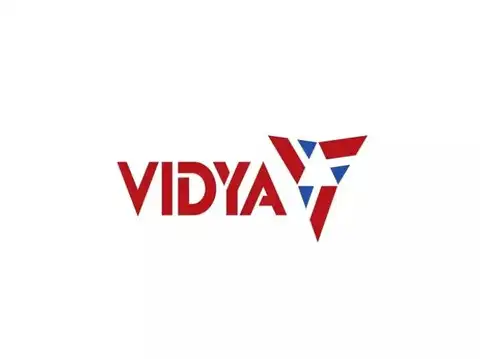 Vidya Wires