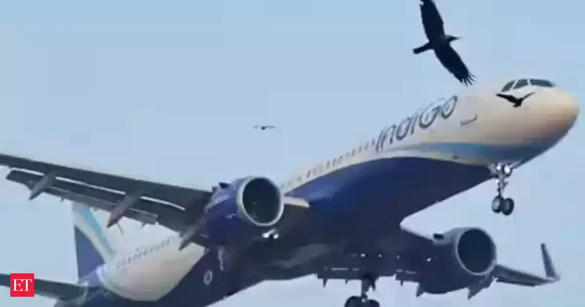 Mumbai–Chandigarh IndiGo flight forced to return after passengers remain airborne for nearly 5 hours due to dense fog