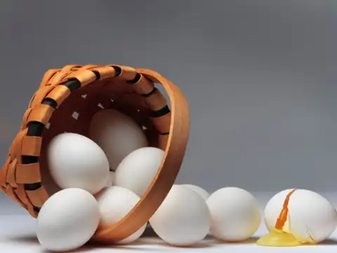 Eggs