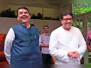 AIMIM's 6 Non-Muslim Winners in Recent Maharashtra Civic Polls | Quick Digest