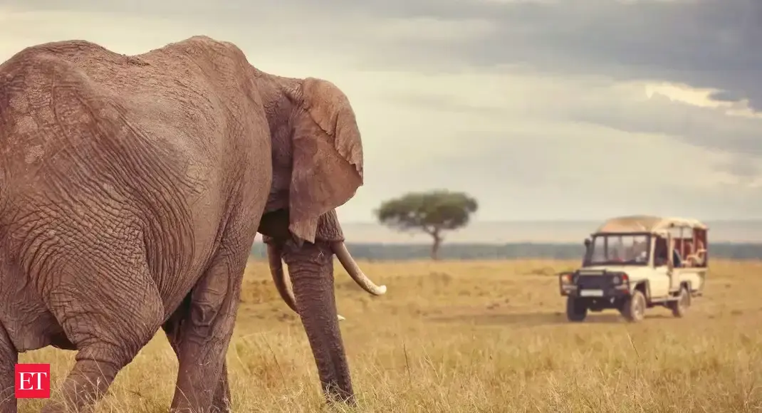 7 must-visit jungle safaris around the world